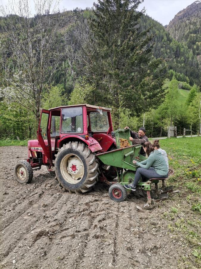 Landgasthof Steiner 2*