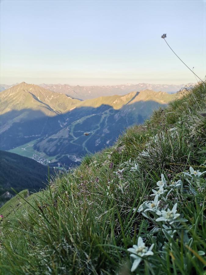 Gasthof Landgasthof Steiner 2*